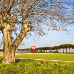 terreno-casa-conteiner