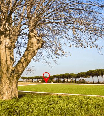 terreno-casa-conteiner